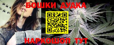крисы Краснознаменск