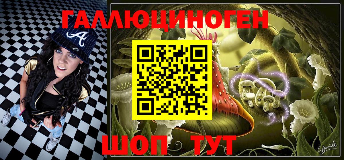 Галлюциногенные грибы Psilocybe  Вход с VPN  Шадринск  Галлюциногенные грибы Psilocybe 